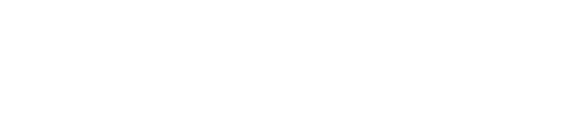logo alma yadira